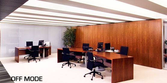 Switchable Glass